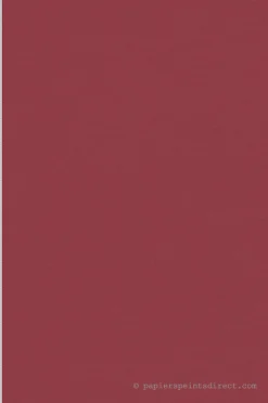 New A.S. Creation Papier peint vinyle sur intissé Uni L.10.05 x l.0.53 m. - Réf. SP15922