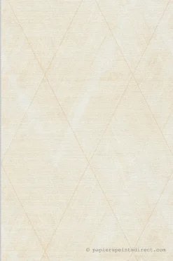 Outlet A.S. Creation Papier peint vinyle sur intissé Géométrique L.10.05 x l.0.53 m. - Réf. AS-388244