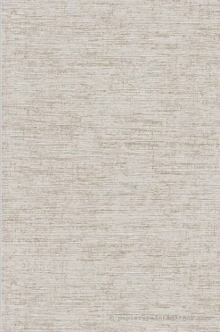Online A.S. Creation Papier peint vinyle sur intissé Uni L.10.05 x l.0.53 m. - Réf. SP15475