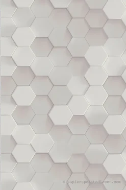 Discount A.S. Creation Papier peint vinyle sur intissé Trompe l'oeil L.10.05 x l.0.53 m. - Réf. AS-387231