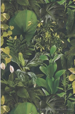 A.S. Creation Papier peint vinyle sur intissé Jungle L.10.05 x l.0.53 m. - Réf. AS-396981* Papier Peint Naturel Et Tropical