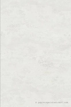 A.S. Creation Papier peint vinyle sur intissé Contemporain L.10.05 x l.0.53 m. - Réf. AS-786566* Papier Peint Pour Cuisine