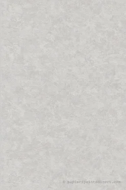 Best A.S. Creation Papier peint vinyle sur intissé Uni L.10.05 x l.0.53 m. - Réf. SP15543
