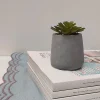 Best Ornami Plante artificielle en pot effet béton H.5,5cm