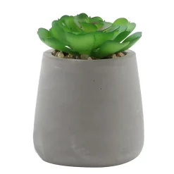 Best Ornami Plante artificielle en pot effet béton H.5,5cm