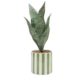 Atmosphera Créateur D'Intérieur Plante artificielle en pot Cheri 11,5x11,5cm- Vert- Atmosphera* Plante Artificielle