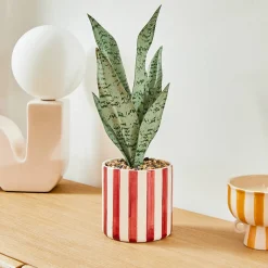 Atmosphera Créateur D'Intérieur Plante artificielle en pot Cheri 11,5x11,5cm- Vert- Atmosphera* Plante Artificielle