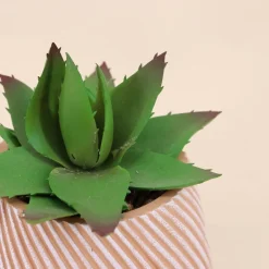 Hot Ornami Plante grasse artificielle pot en céramique 13x10cm