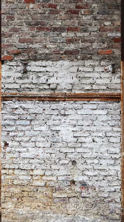 Profhome 383501-GU Papier peint photo lisse mat 1,59 m x 2,8 m* Papier Peint Imitant