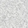 Best Profhome 397474-GU Papier peint floral légèrement texturé mat 5,33 m2