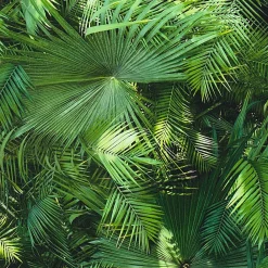 Profhome 362001-GU Papier peint nature lisse mat 5,33 m2* Papier Peint Naturel Et Tropical|Papier Peint