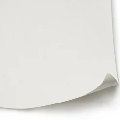 Diall Revêtement de rénovation sur intissé blanc 15m 180g/m²* Papier Peint À Peindre