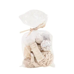 Discount Ornami Set fleurs séchées, déco boisées