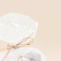 Discount Ornami Set fleurs séchées, déco boisées