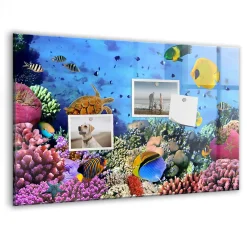 Wallfluent Tableau Aimanté Tulup 60x40 cm La vie sous-marine En Verre Pour Cuisine* Pêle-Mêle Et Pense Bête