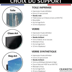 Best Ceanothe Tableau sur toile forme géométrique 30x30 cm Fabriqué en France
