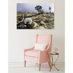 Discount Scenolia Tableau toile XXL en kit In Wild 130 x 90 cm - Toile textile sans PVC