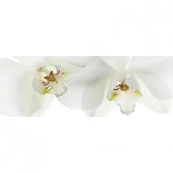 Hot Scenolia Tableau toile XXL en kit Orchidee 180 x 60 cm - Toile textile sans PVC