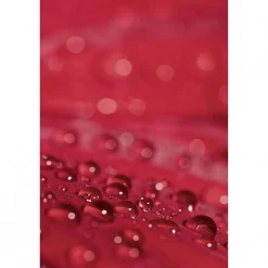 Hot Scenolia Tableau toile XXL en kit Garance 40 x 60 cm - Toile textile sans PVC