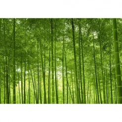 Clearance Scenolia Tableau toile XXL en kit Foret De Bambous 90 x 60 cm - Toile textile sans PVC