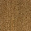Best Décoweb Tapis Brosse Coco - Spécial PMR-ERP - Ecru - Ep, 23 mm - Rouleau de 2m x 4m