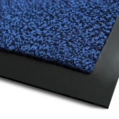 Best Floordirekt Tapis de Porte Paillasson d'entrée SKY Bleu 60 x 90 cm