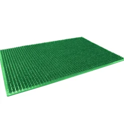 Best Paris Prix Tapis d'Entrée "Grattoir" 38x58cm Vert