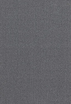 The Carpet Tapis moderne uni anti-salissures, Anthracite, 240 x 340 cm - NATAL* Tapis Intérieur