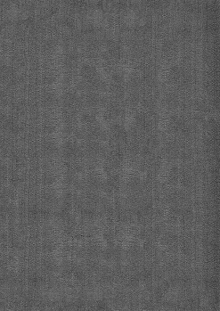 The Carpet Tapis uni antidérapant lavable Anthracite - 300 x 400 cm - RELAX* Tapis Intérieur|Tapis Pour Chambre