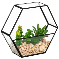 Online Atmosphera Créateur D'Intérieur Terrarium artificiel Pia noir H20cm - Atmosphera