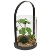 Outlet Atmosphera Créateur D'Intérieur Terrarium Wilo 11x10cm- Vert trèfle- Atmosphera