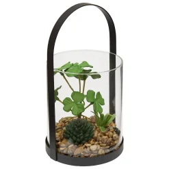Outlet Atmosphera Créateur D'Intérieur Terrarium Wilo 11x10cm- Vert trèfle- Atmosphera