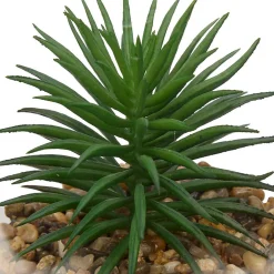 Outlet Atmosphera Créateur D'Intérieur Terrarium Wilo 11x10cm- Vert trèfle- Atmosphera