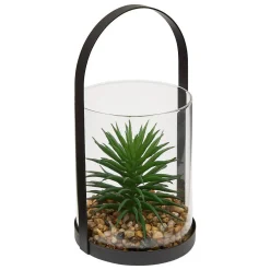 Outlet Atmosphera Créateur D'Intérieur Terrarium Wilo 11x10cm- Vert trèfle- Atmosphera