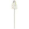 Outlet Atmosphera Créateur D'Intérieur Tige d'orchidée artificielle Gisele H95cm- Blanc- Atmosphera