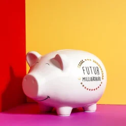 Sale The Concept Factory Tirelire cochon XXL Futur milliardaire