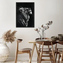 Clearance Dada Art Toile encadrée tigre de profil noir et blanc, brillant, cadre noir 50 x 70cm