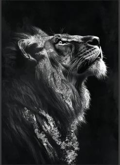 Clearance Dada Art Toile encadrée tigre de profil noir et blanc, brillant, cadre noir 50 x 70cm