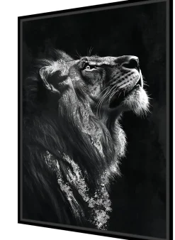 Clearance Dada Art Toile encadrée tigre de profil noir et blanc, brillant, cadre noir 50 x 70cm