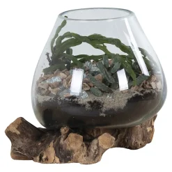 House Nordic Vase sur socle bois en verre transparent 18x20 cm* Vase Décoratif
